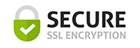 secure icon